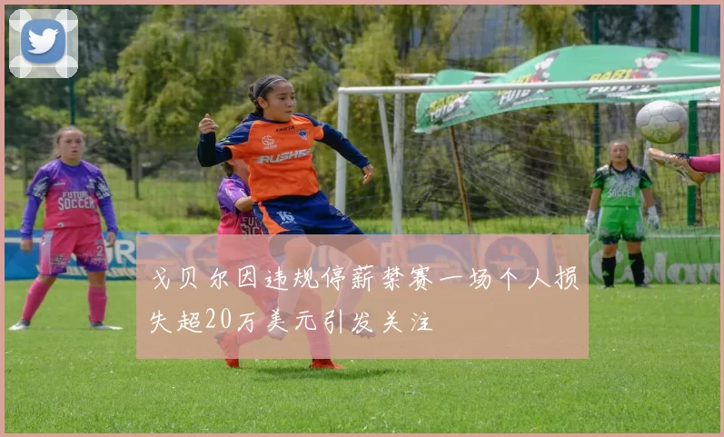 戈贝尔因违规停薪禁赛一场个人损失超20万美元引发关注